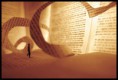 /album/galeria-de-fotos-pagina-inicial1/andar-sobre-livros-jpg1/